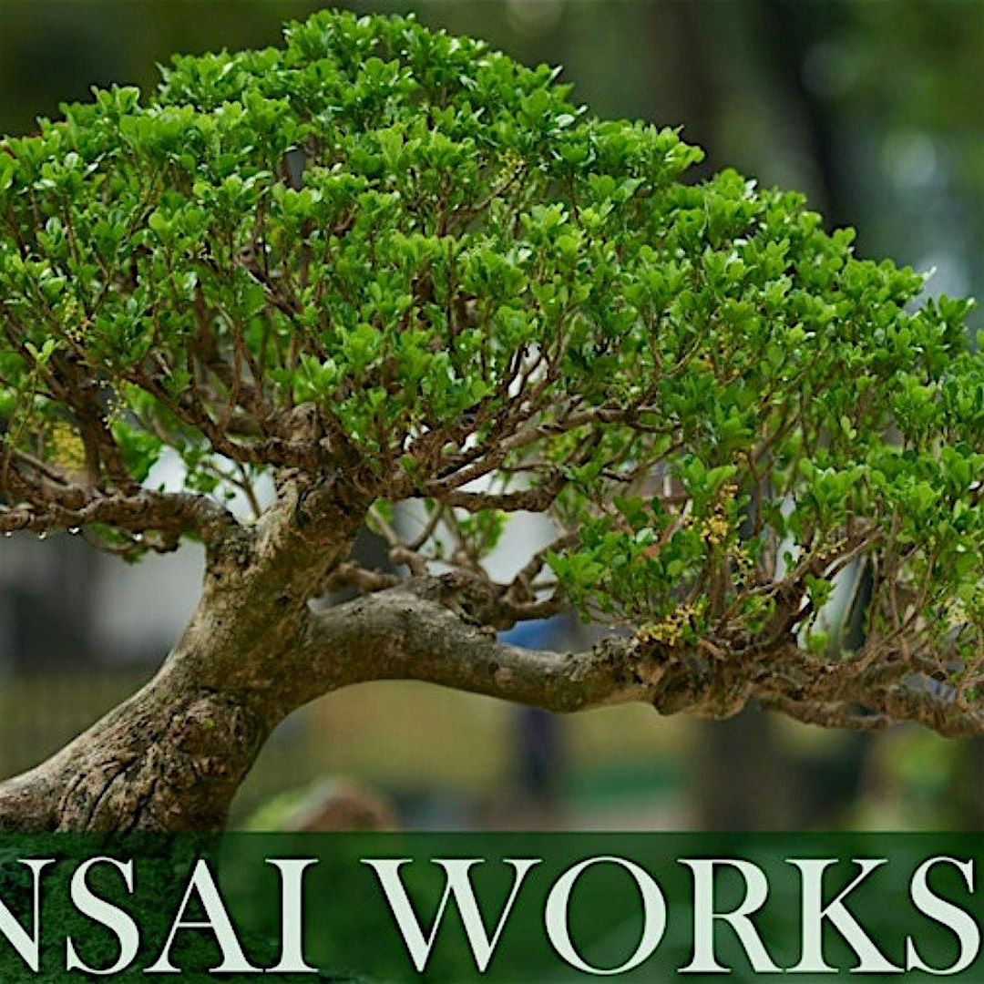 155ba842823dabd91736eb3937c34f93-aFRI29.tmp_