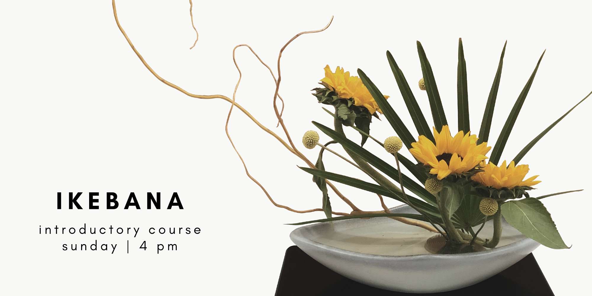Introduction to Ikebana Flower Arrangement 6 Week Class Japanese